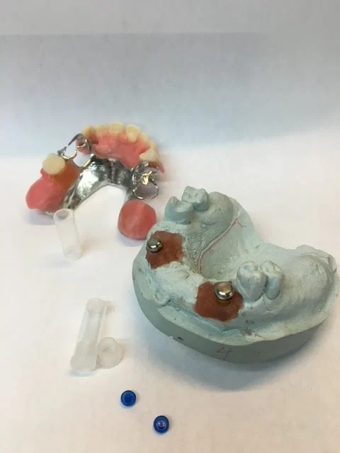 Dover Dental Laboratories Inc Picture 5