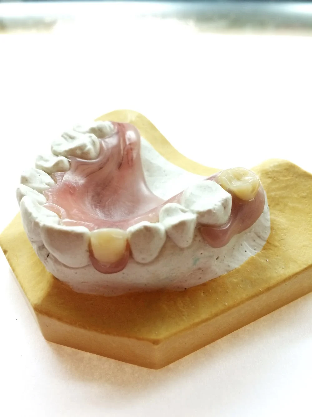 Dover Dental Laboratories Inc Picture 10