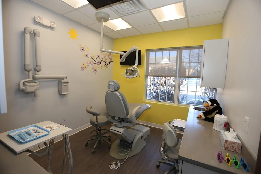 The Smile Stop Pediatric Dentistry at Park Ridge Picture 1