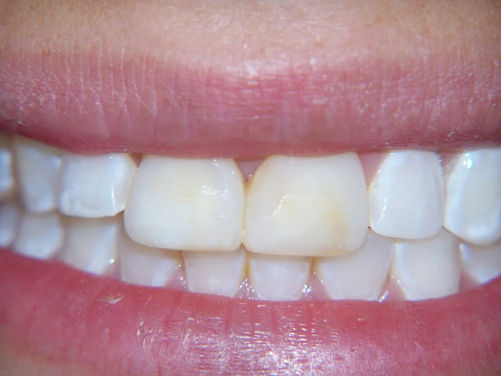 Dr. Daniel J. Aldieri, DDS Picture 9