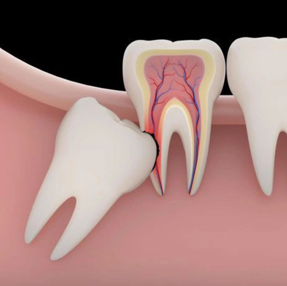Dr. Dmitry Karagodsky | Smile Maker Picture 6
