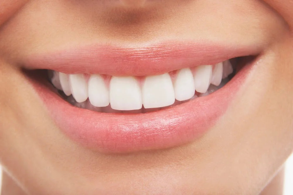 State 48 Dental Picture 7