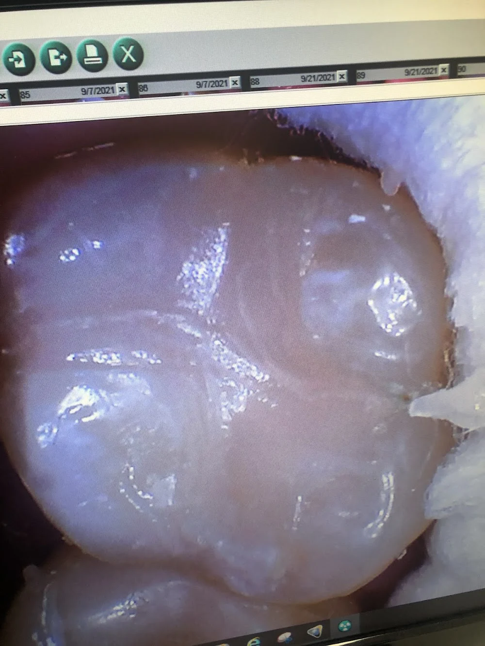 Dental Arts Picture 6