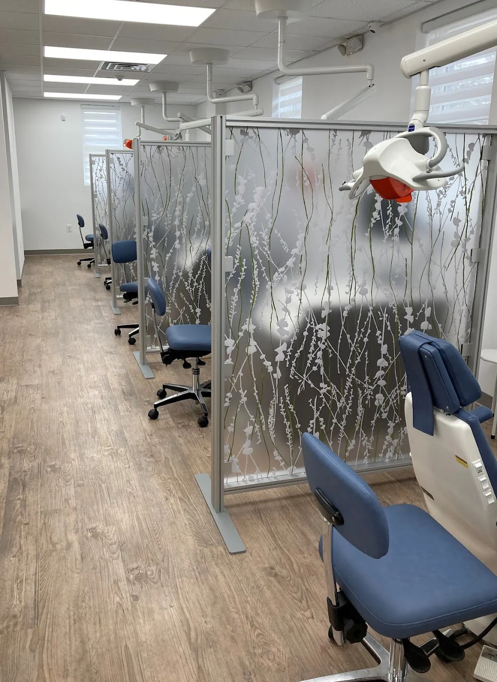 Orchard of Smiles Orthodontics Picture 9