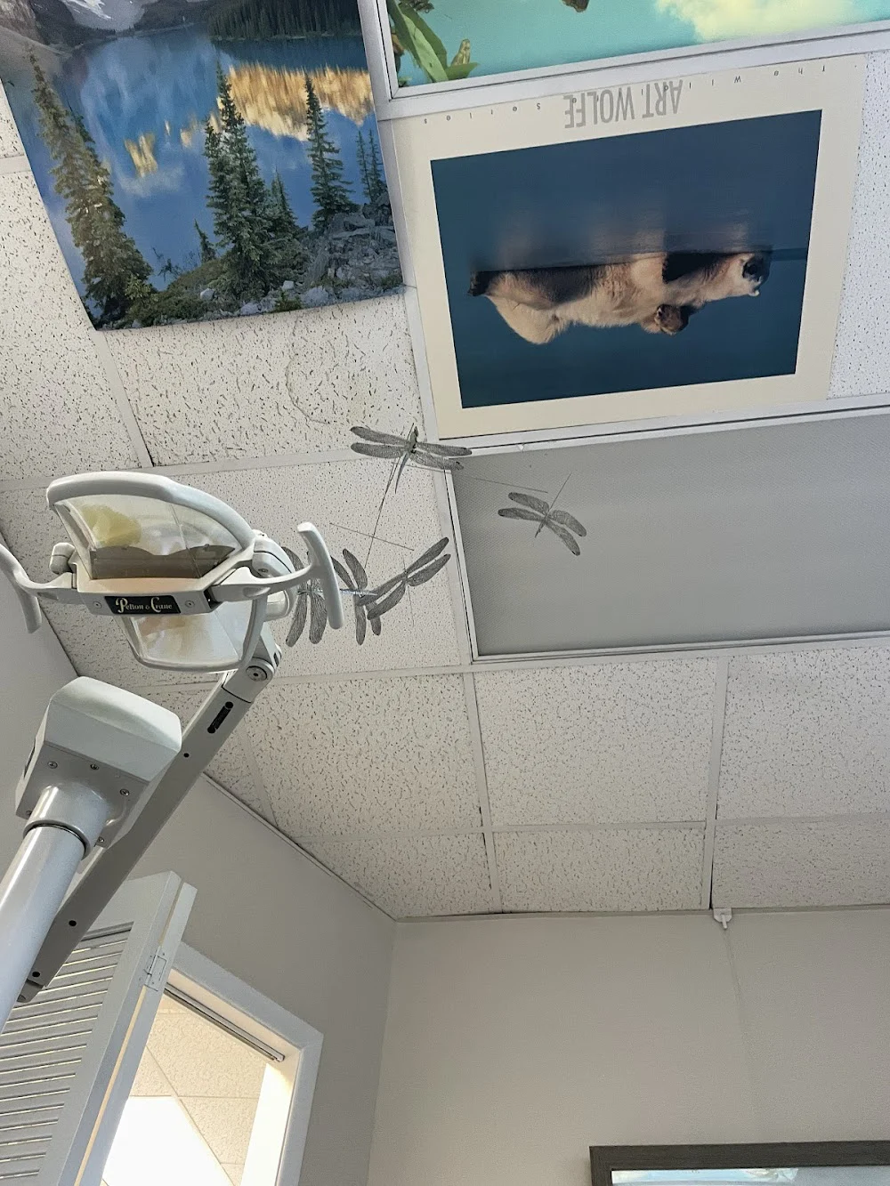 Larchmont Family Dental Picture 7