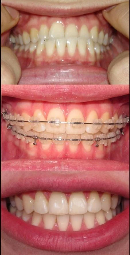 Ortho One Picture 2