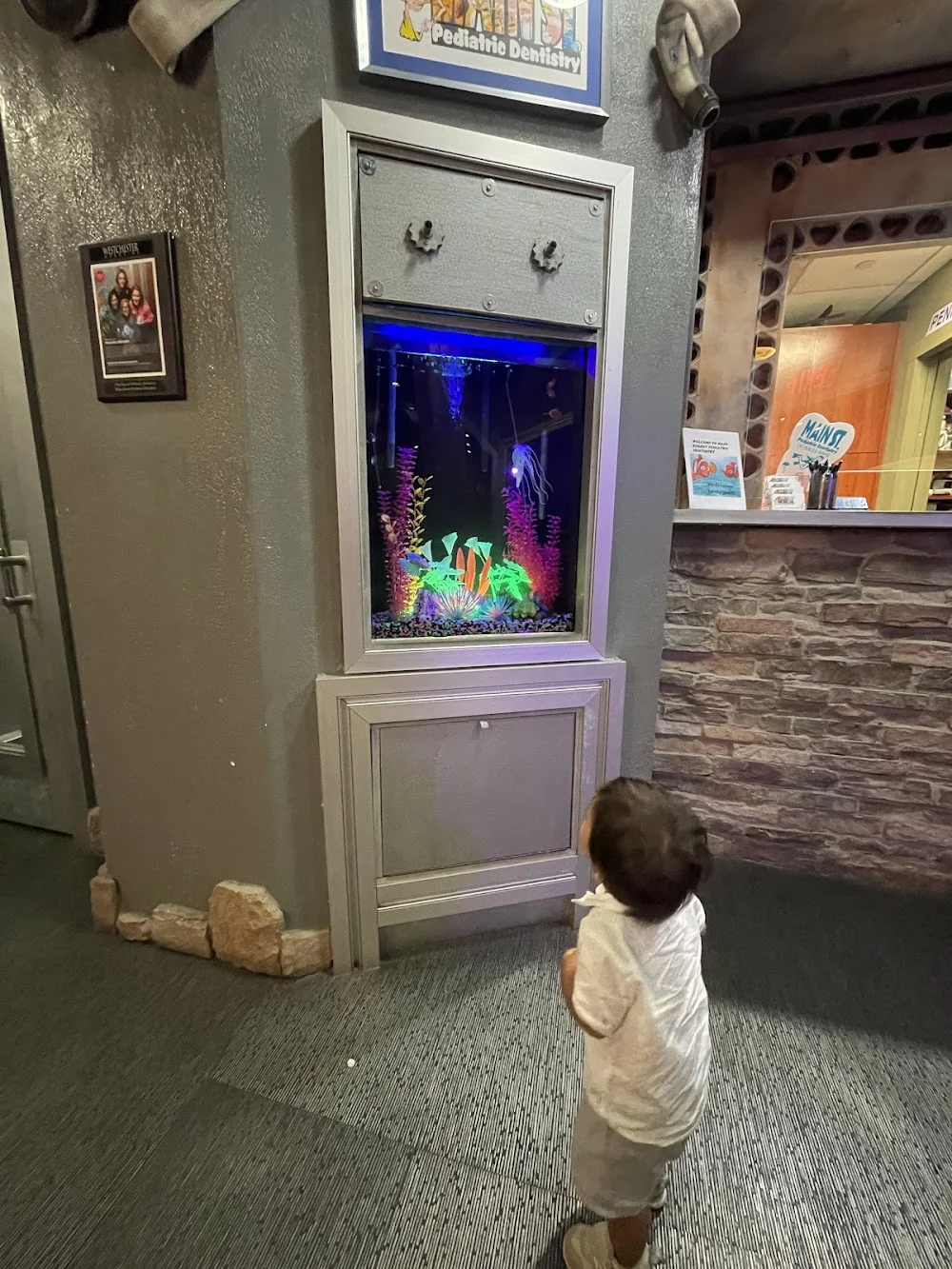 Main Street Pediatric Dentistry: Penny Resnick-Graulich DMD Picture 8