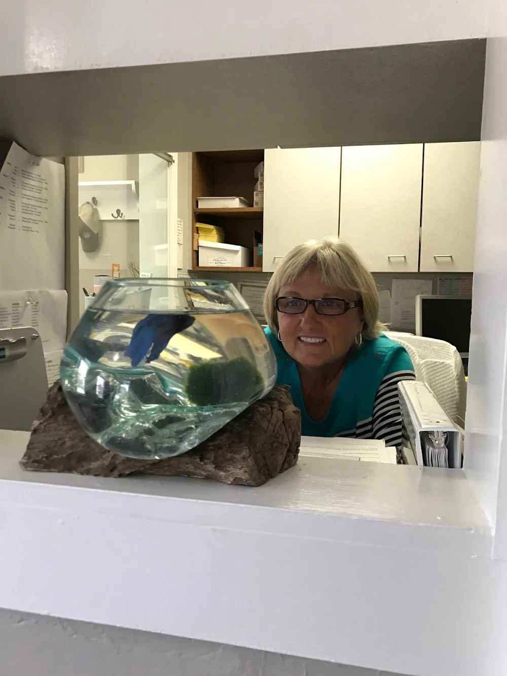 Boynton Family Dentistry Matthew T. Boynton D.M.D., P.C. Picture 10