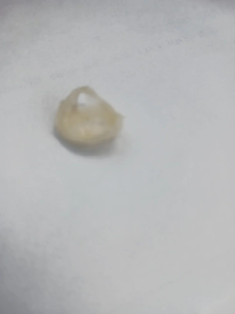 Dental Dreams Picture 3