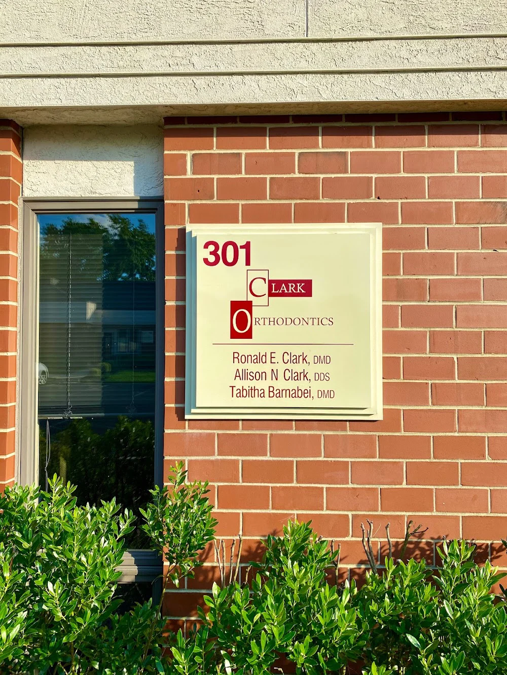 Clark Orthodontics Picture 2