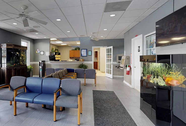 Grayslake Orthodontics Picture 5