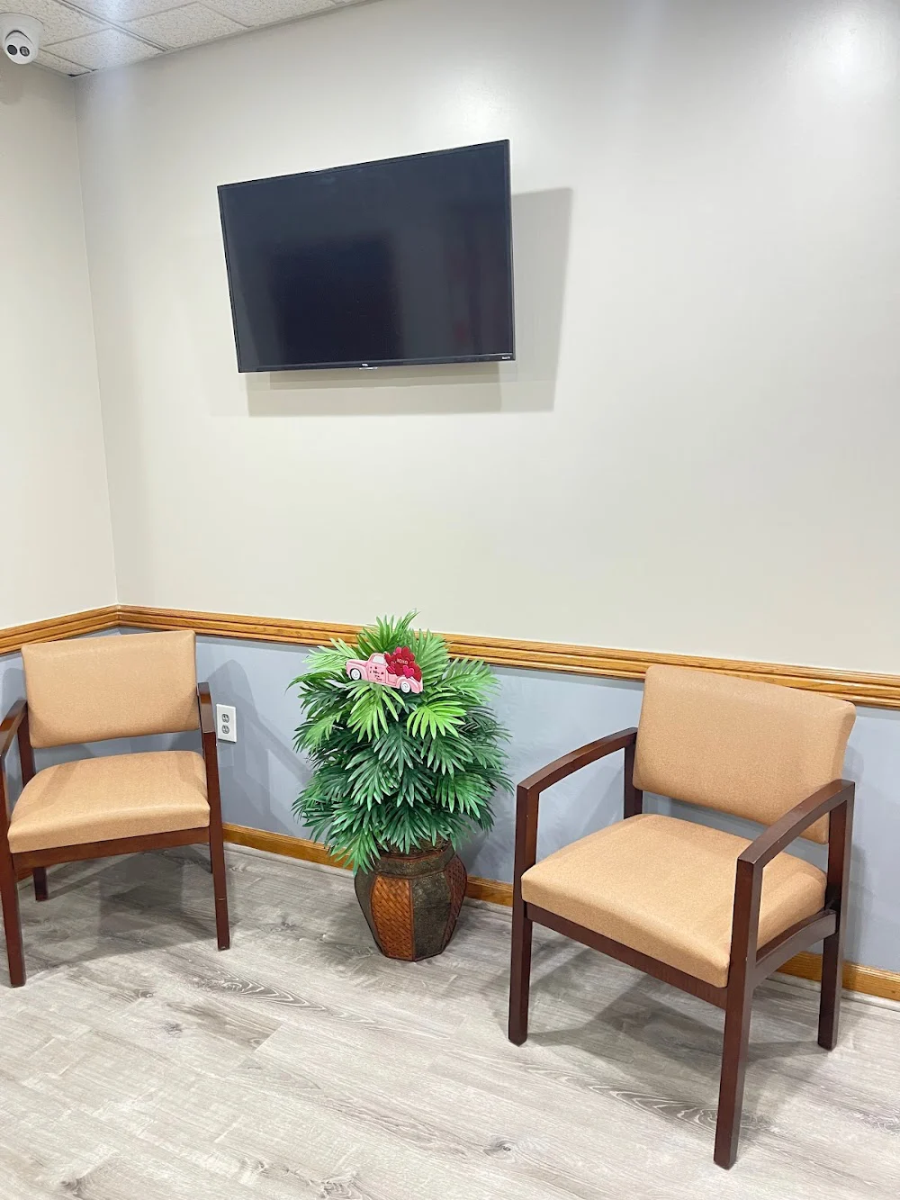 Harmony Dental of Port Richmond Picture 2