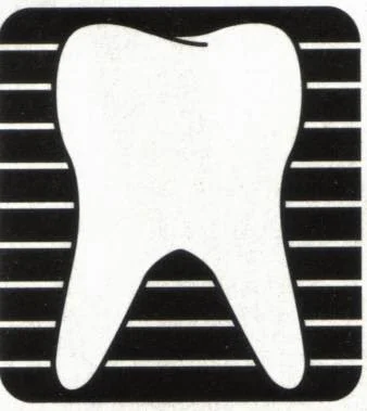Mitchell Brudno D.M.D. L.L.C. Picture 2