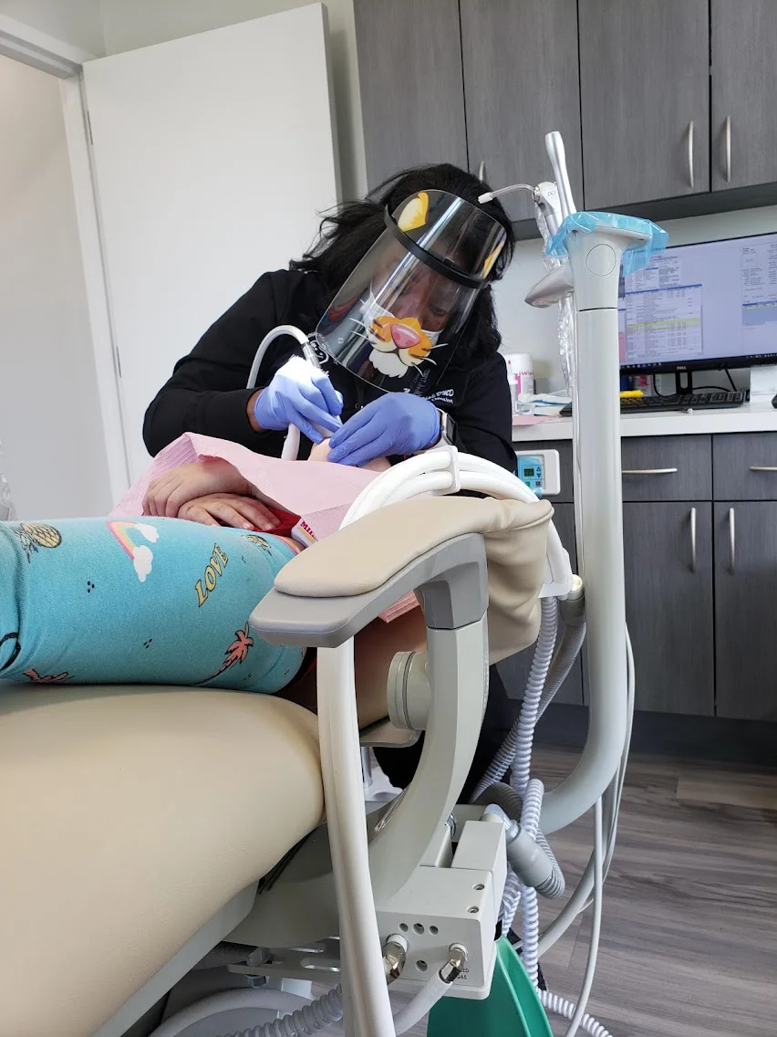 Farm Park Pediatric Dentistry Picture 10