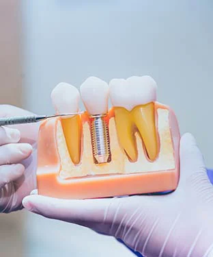 Social Six Dental Studio Picture 5