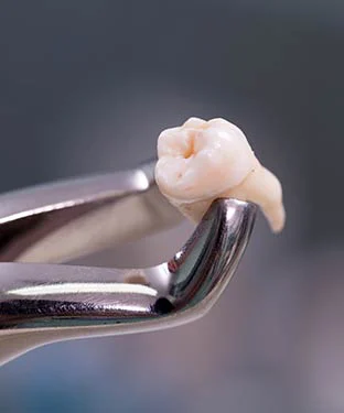 Social Six Dental Studio Picture 3