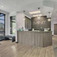 MINT dentistry | Canton ico