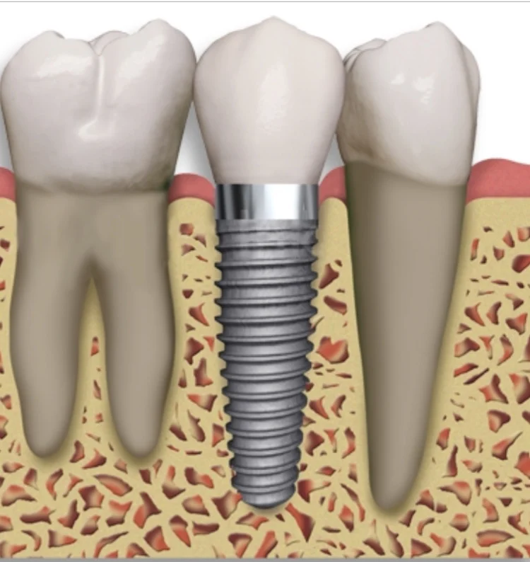 Naples General & Cosmetic Dentistry LLC Picture 2