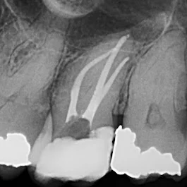 North Penn Endodontics Group Picture 1