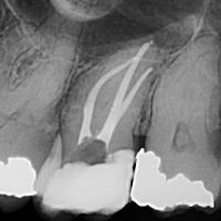 North Penn Endodontics Group ico