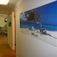 Shine Dental Care ico