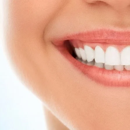 Ambler Dental Care Picture 2