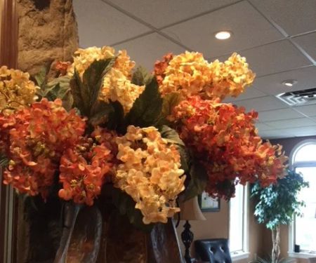 Costello Oral Surgery Associates