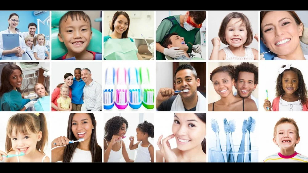 White Hill Dental Picture 9