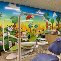 Children's Dental FunZone - Pediatric Dentist & Orthodontist - Riverside ico