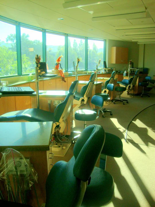 Cool Smiles Orthodontics - Corona Picture 4