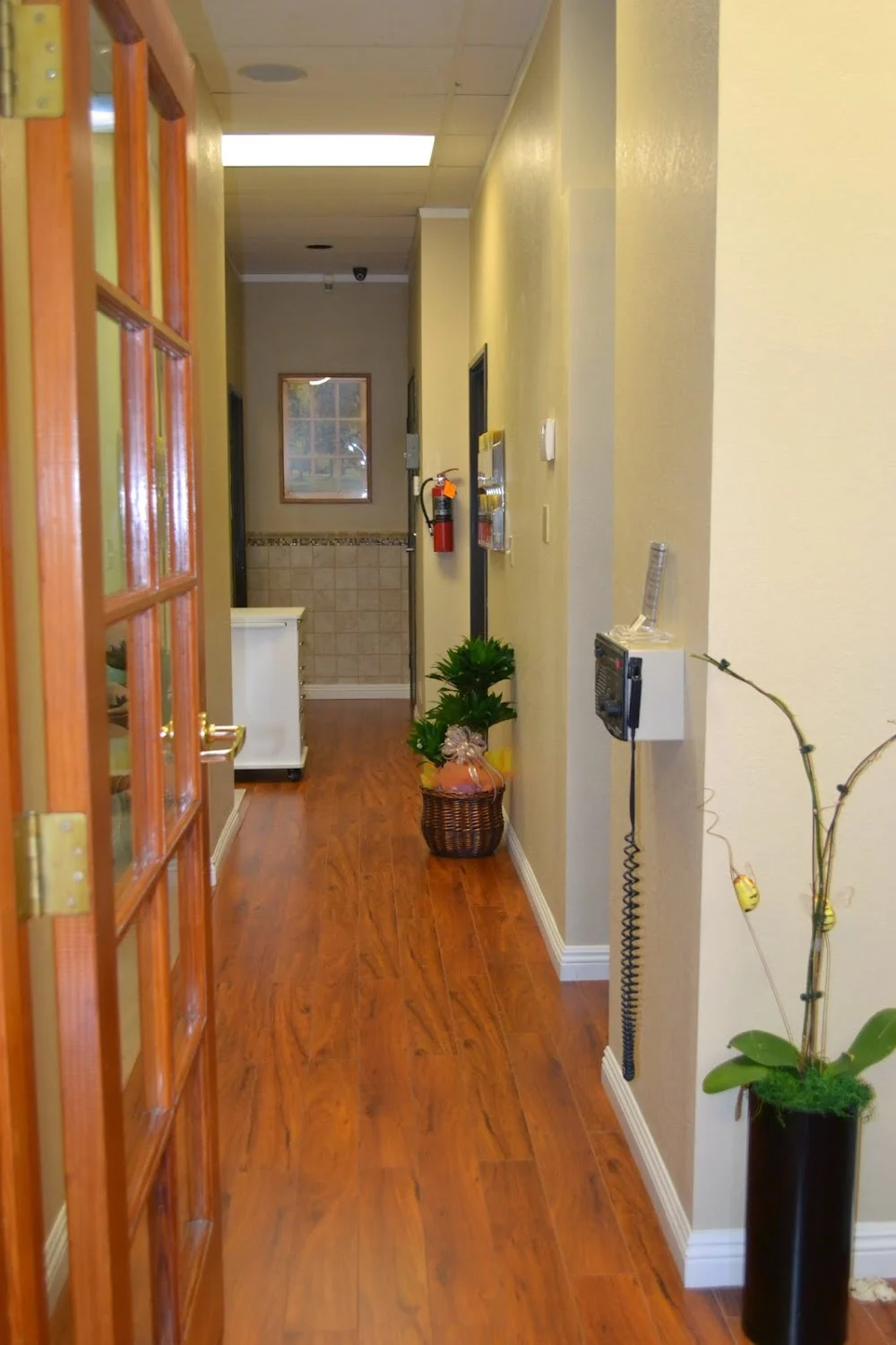 Dr. Jin's Dental Care Picture 3