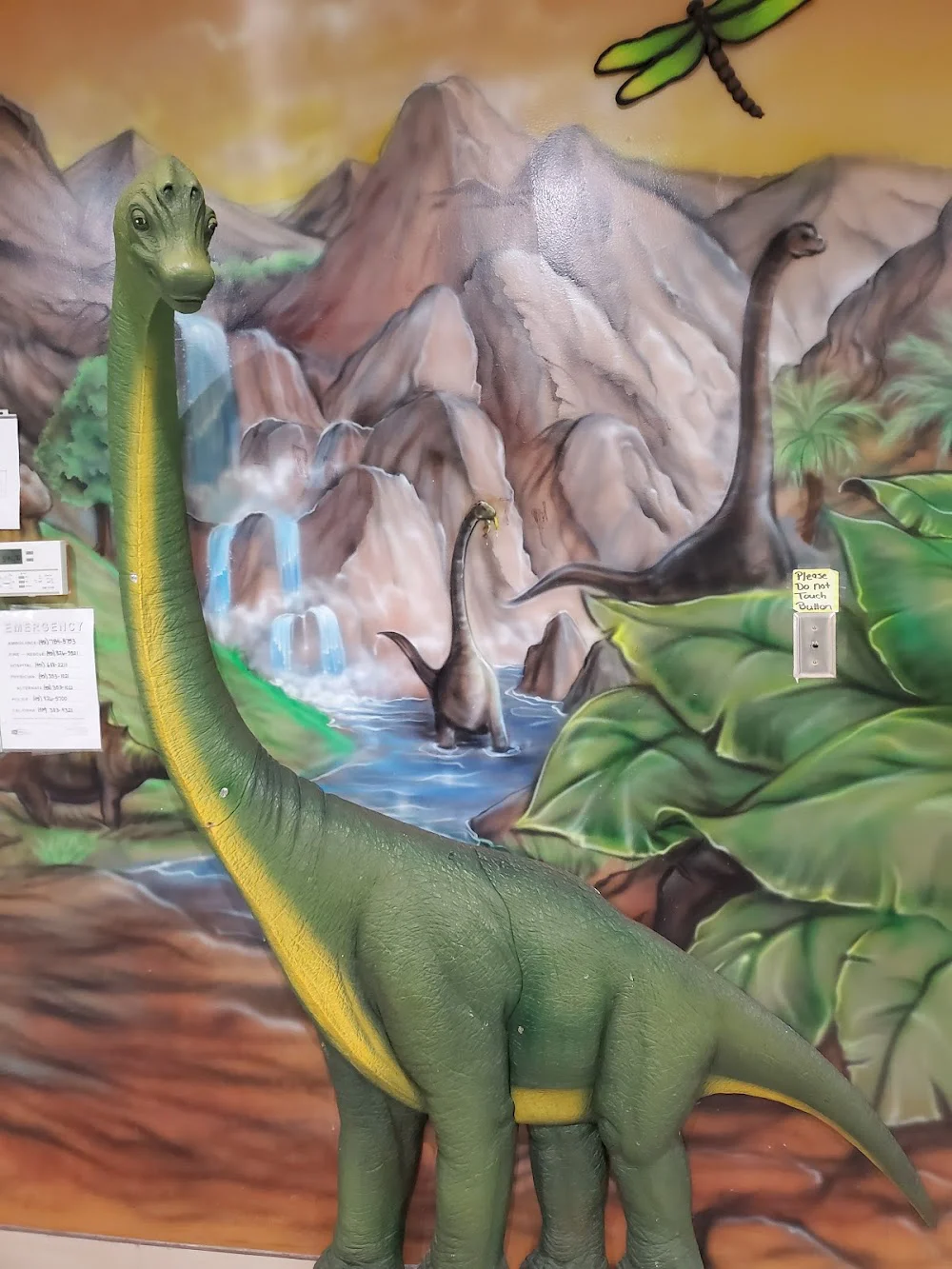 Dentistry 4 Kids - Riverside Picture 2
