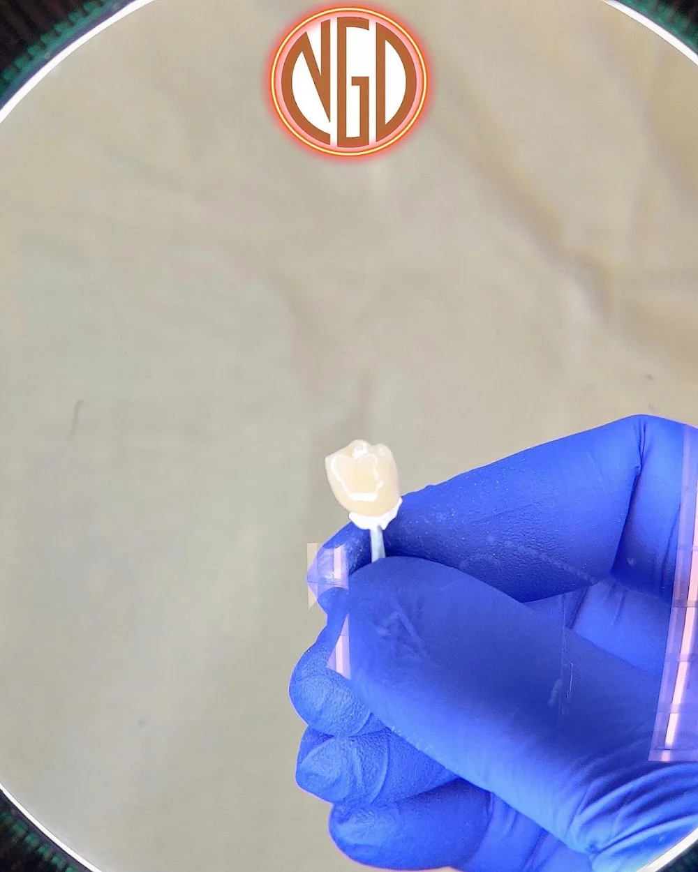 New Generation Dentistry Picture 10