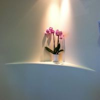 Pro Health Dental - Dr. Ada Gruita DDS ico