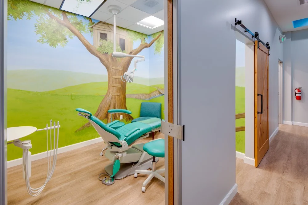 Treehouse Pediatric Dentistry Picture 4