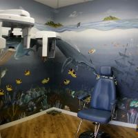 Azin Ortho Pedo ico