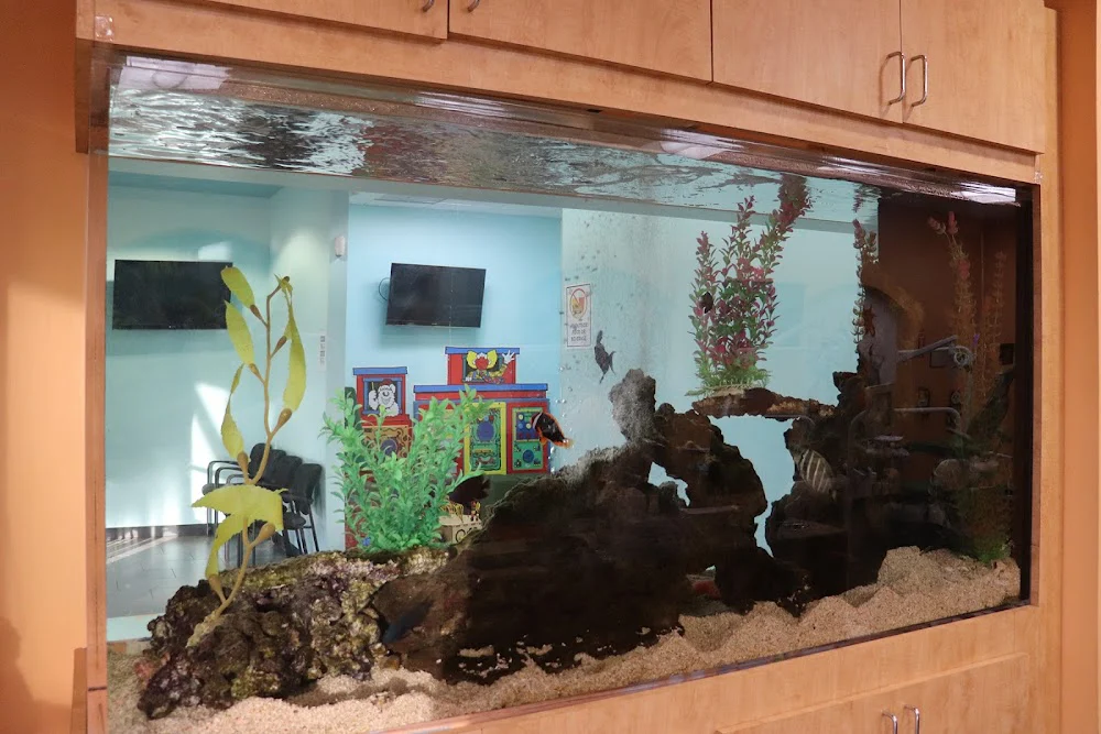 Children's Dental FunZone - Pediatric Dentist - Fontana Picture 6