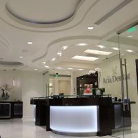 Aria Dental ico