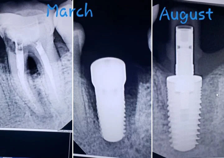 Dental World Picture 10