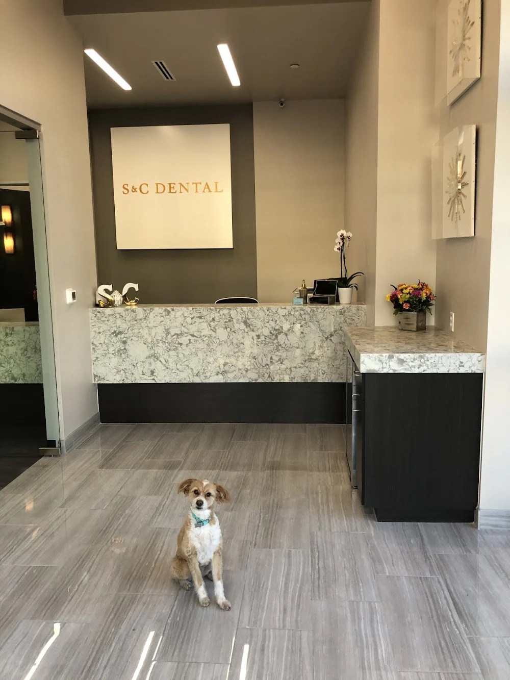 S&C Dental Picture 10