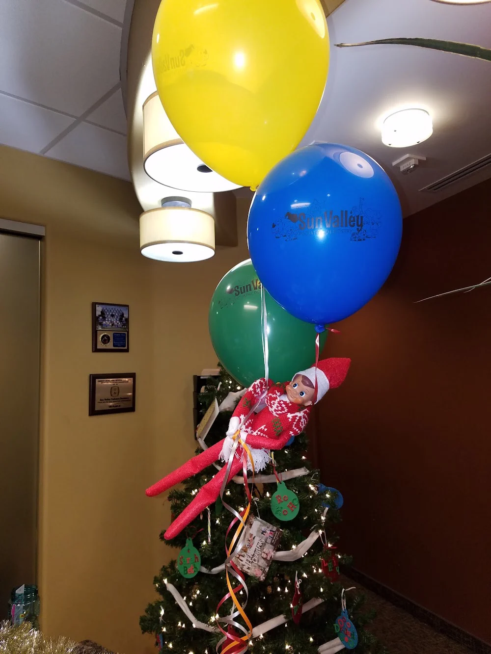 Sun Valley Pediatric Dentistry - Avondale Picture 9