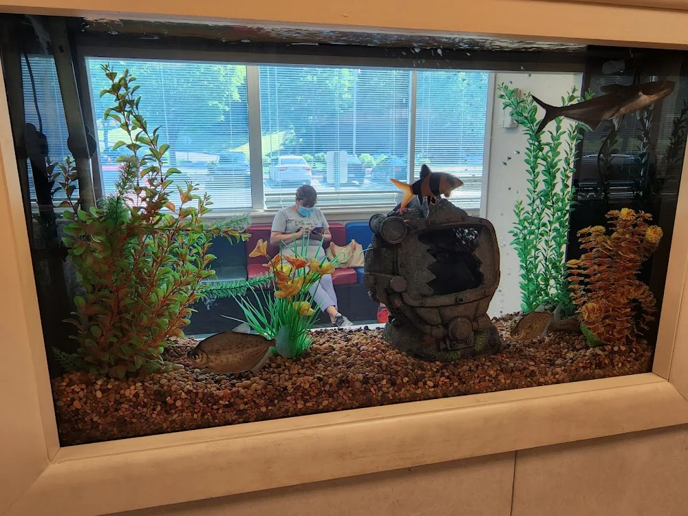 Upper Merion Dental Associates Picture 7
