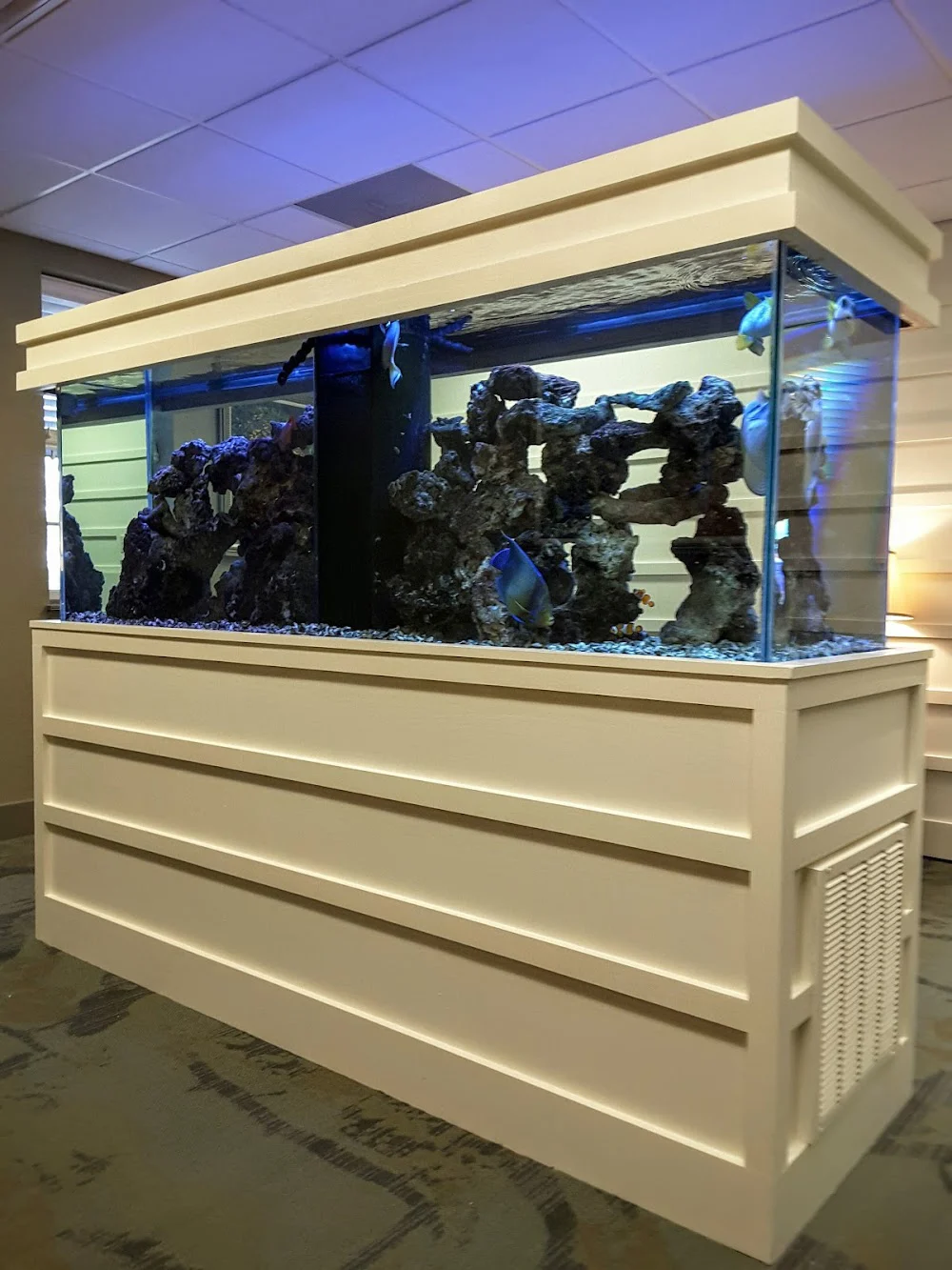 Devon Dental Services Picture 6