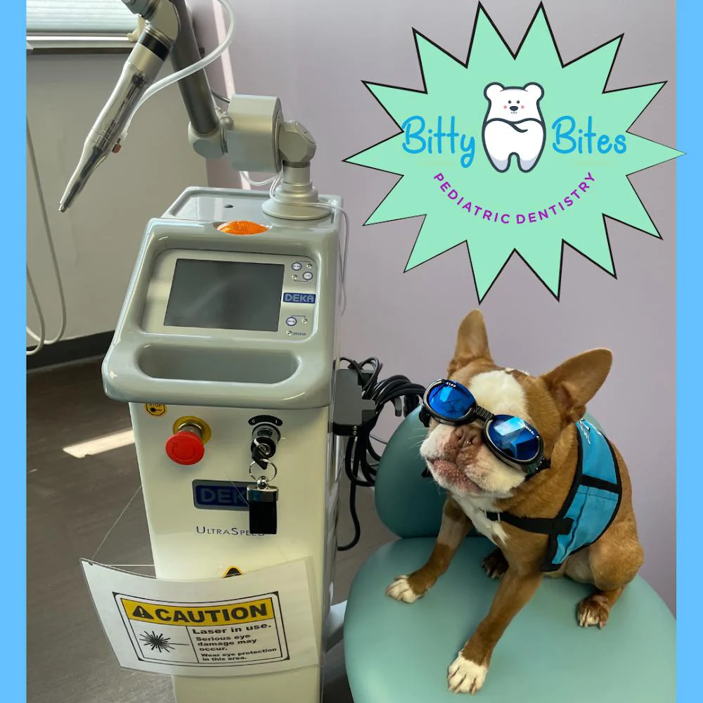 Bitty Bites Pediatric Dentistry Picture 9
