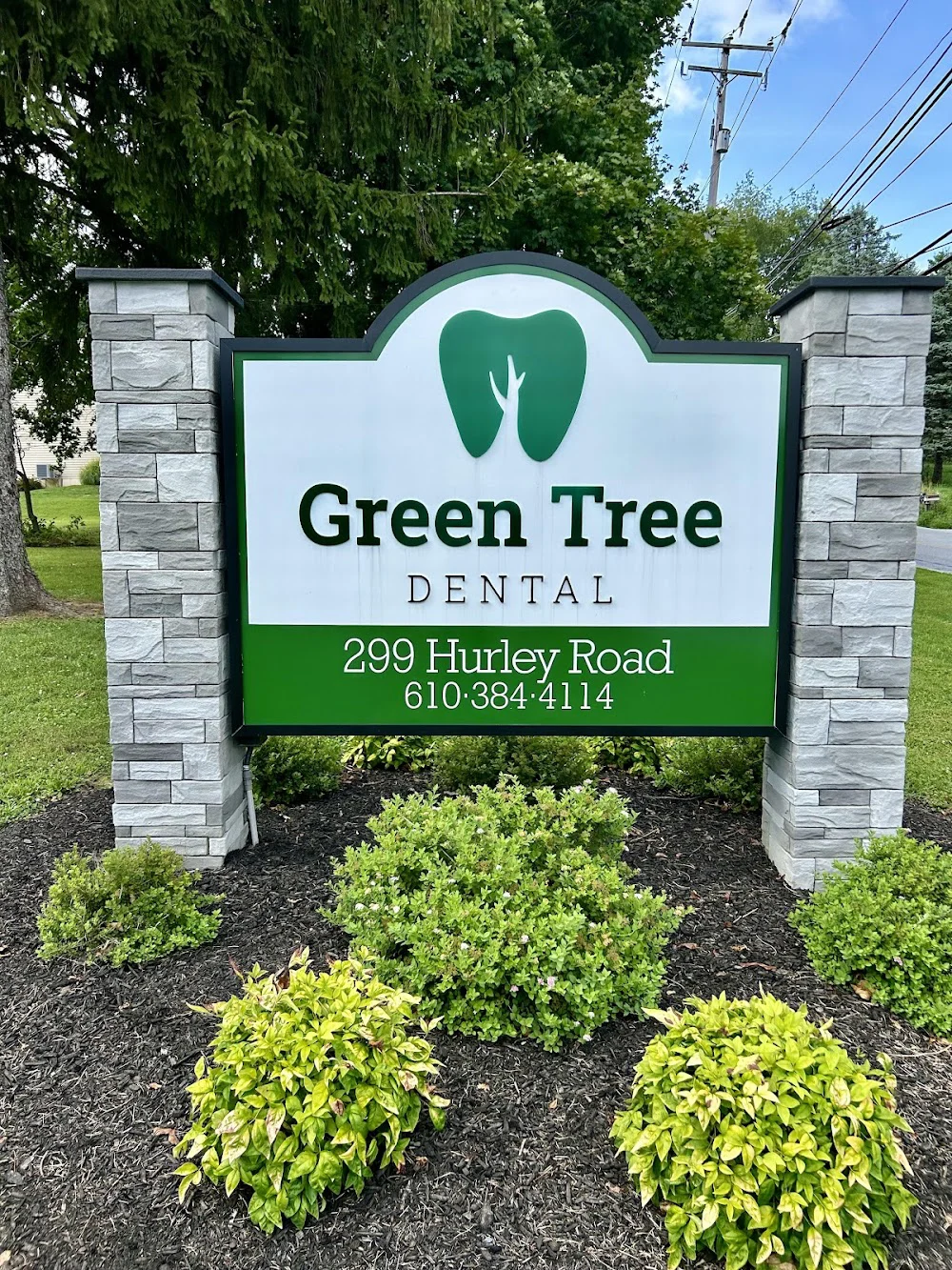 Green Tree Dental Picture 1
