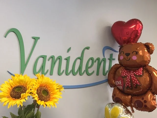 Vanident Picture 5