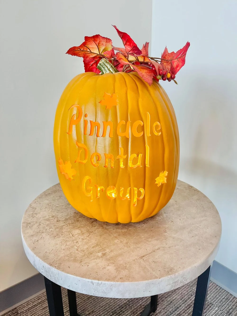 Pinnacle Dental Group - Plainfield, IL (Implant, Cosmetic, and General Dentistry) Picture 5