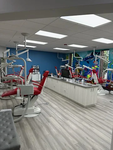 Blue Coral Pediatric Dentistry & Orthodontics - Buffalo Grove (formerly Pediatric Dental Associates) Picture 5
