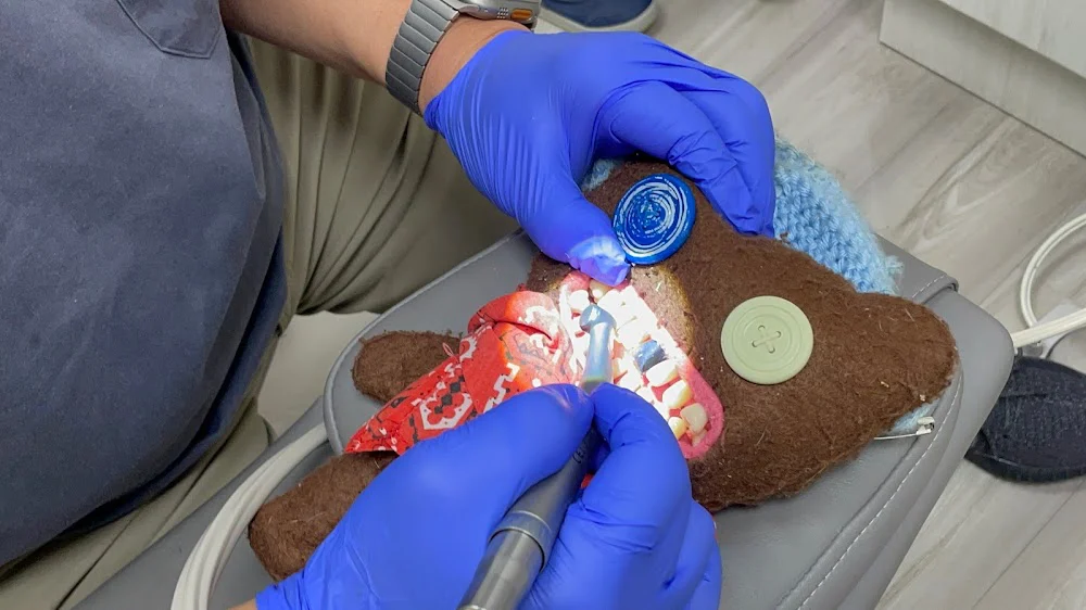 Blue Coral Pediatric Dentistry & Orthodontics - Buffalo Grove (formerly Pediatric Dental Associates) Picture 9