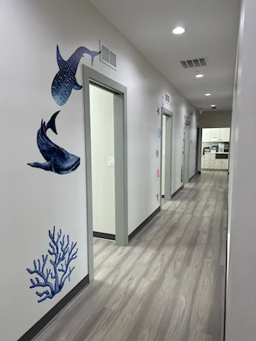 Blue Coral Pediatric Dentistry & Orthodontics - Buffalo Grove (formerly Pediatric Dental Associates) Picture 3